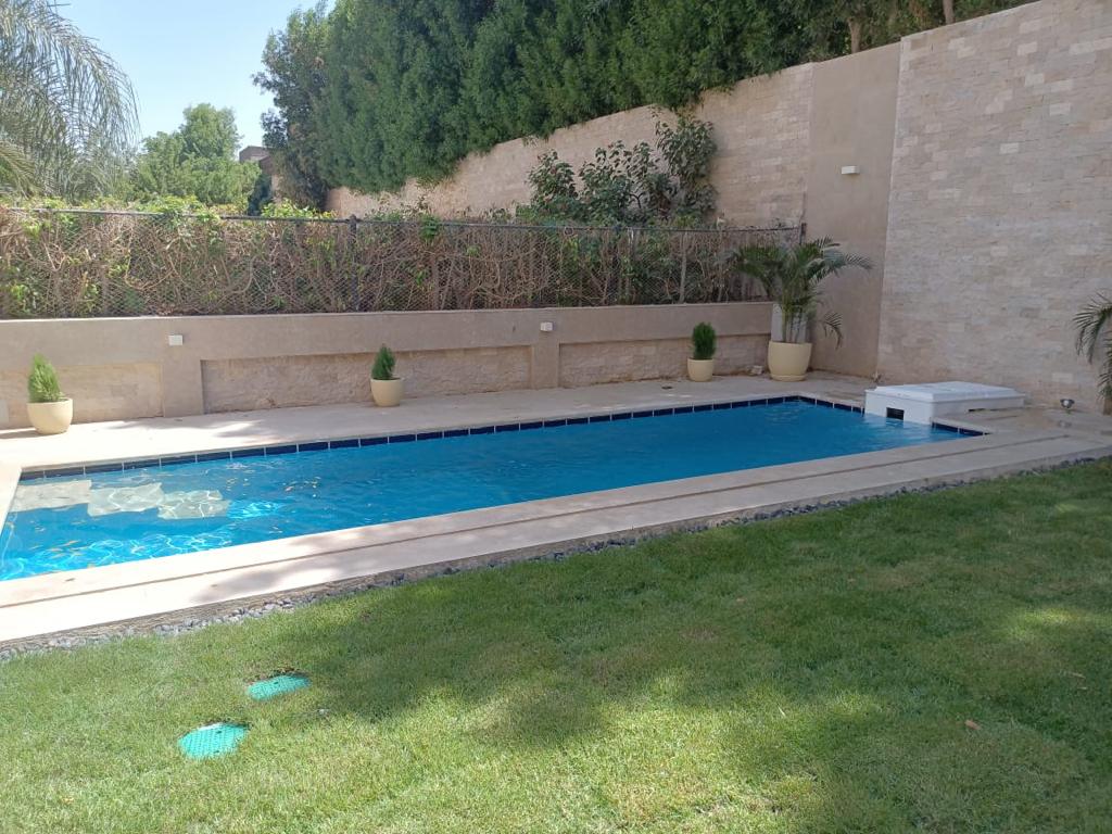 Transform Your Backyard with a Small Luxury Pools from Equip Pools